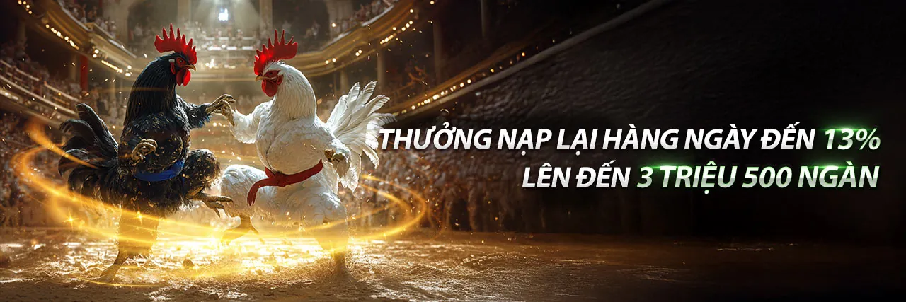 Đá Gà Trực Tuyến Hấp Dẫn tại sic88 win